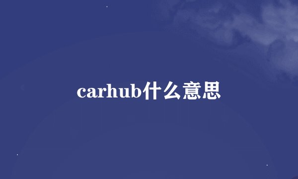 carhub什么意思