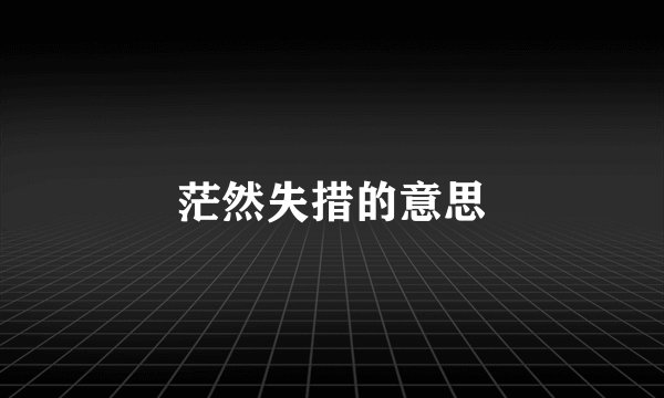 茫然失措的意思