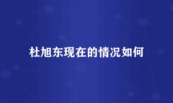 杜旭东现在的情况如何