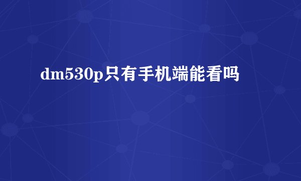 dm530p只有手机端能看吗