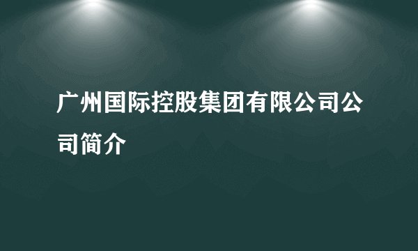 广州国际控股集团有限公司公司简介