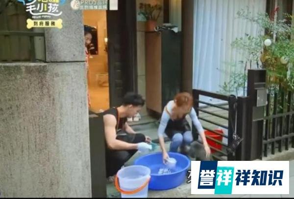 台综艺上郭书瑶给狗洗澡，胸部频繁走光，是故意还是不知情？