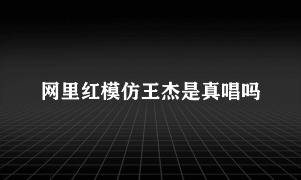 网里红模仿王杰是真唱吗
