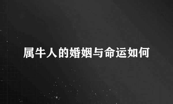 属牛人的婚姻与命运如何