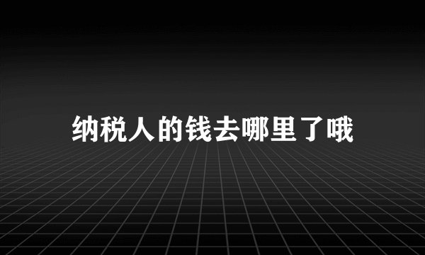 纳税人的钱去哪里了哦