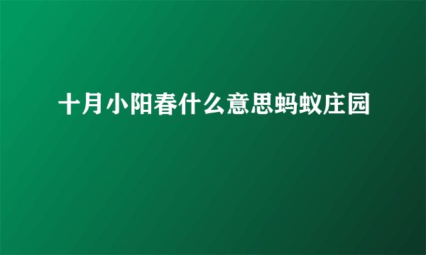 十月小阳春什么意思蚂蚁庄园
