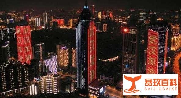 清明时节欲断魂,“武汉之殇”警钟应长鸣
