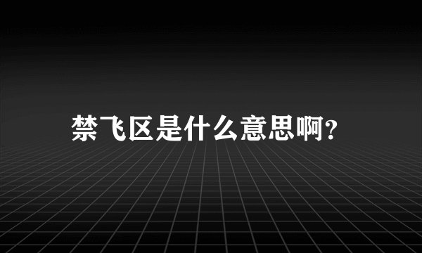 禁飞区是什么意思啊?