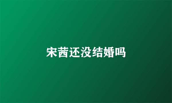 宋茜还没结婚吗