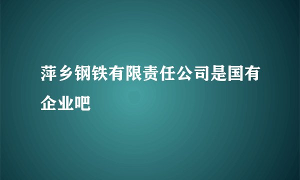 萍乡钢铁有限责任公司是国有企业吧