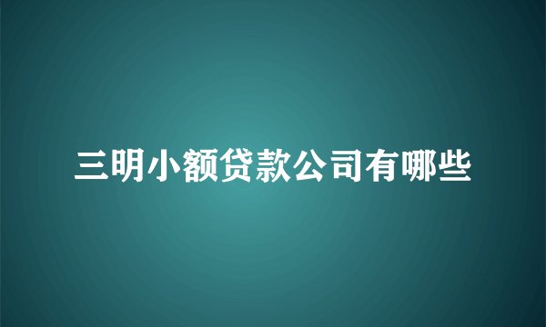 三明小额贷款公司有哪些