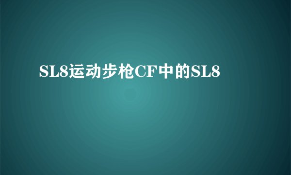 SL8运动步枪CF中的SL8
