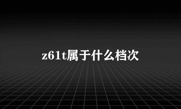z61t属于什么档次