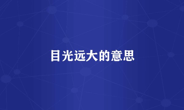 目光远大的意思