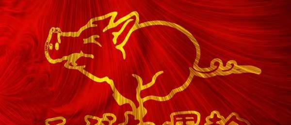 哥斯达黎加的主要港口有哪些?哥斯达黎加港口介绍