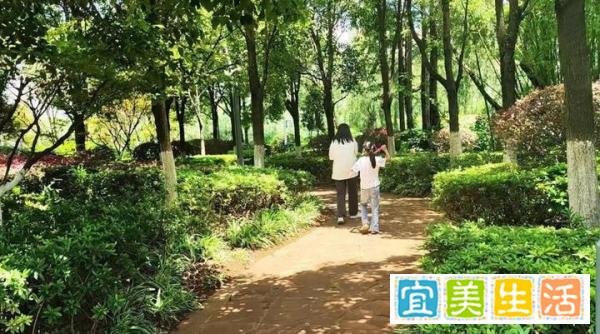 小伙离奇失踪半月自称被仙人选中：要去仙人的世界