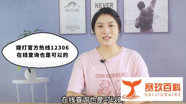 12306火车停运公告在哪里看
