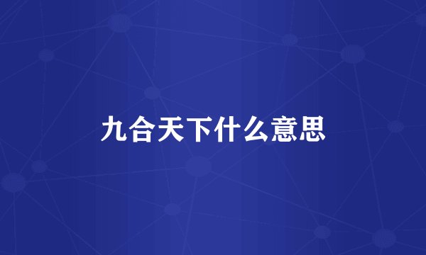 九合天下什么意思