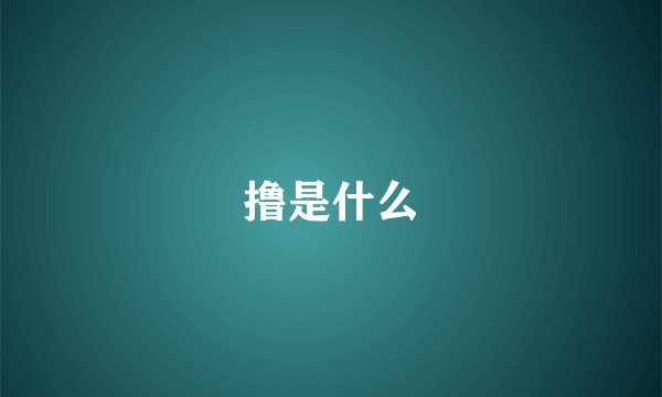 撸是什么