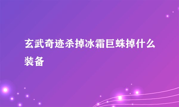 玄武奇迹杀掉冰霜巨蛛掉什么装备