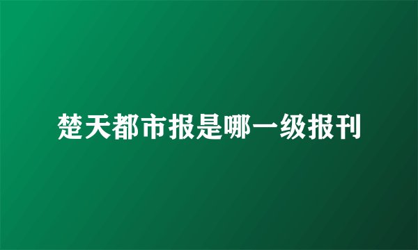 楚天都市报是哪一级报刊