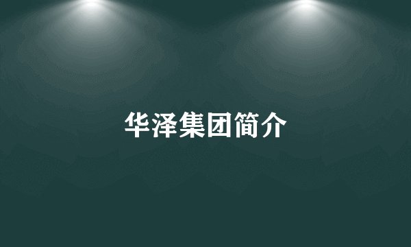 华泽集团简介