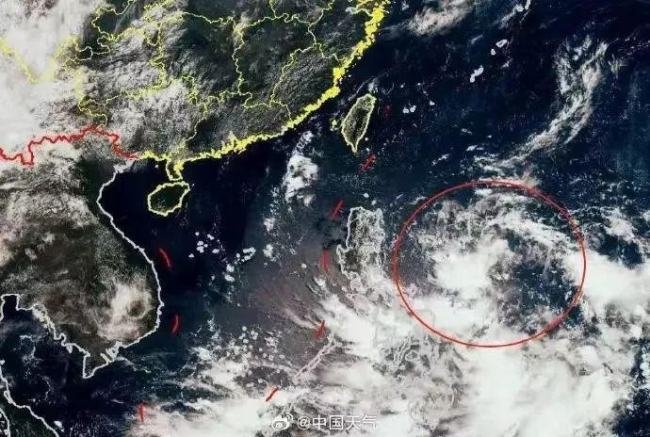 台风杜苏苪的哪个学科较强