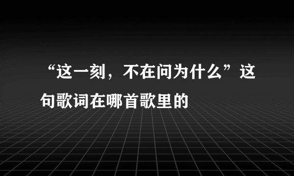 “这一刻，不在问为什么”这句歌词在哪首歌里的