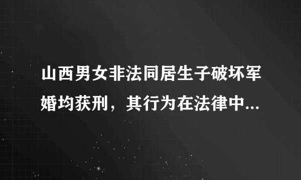 山西男女非法同居生子破坏军婚均获刑，其行为在法律中如何定性？