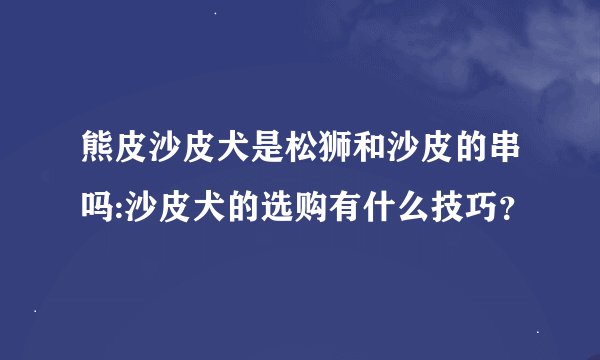 熊皮沙皮犬是松狮和沙皮的串吗:沙皮犬的选购有什么技巧？