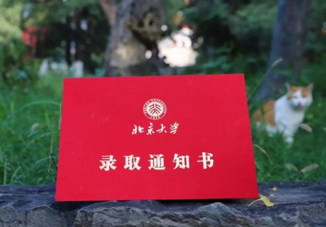 恭喜录取的话简短八字
