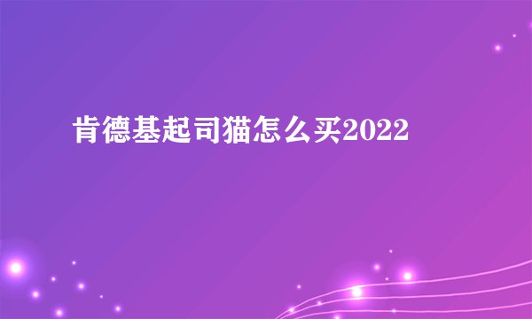 肯德基起司猫怎么买2022