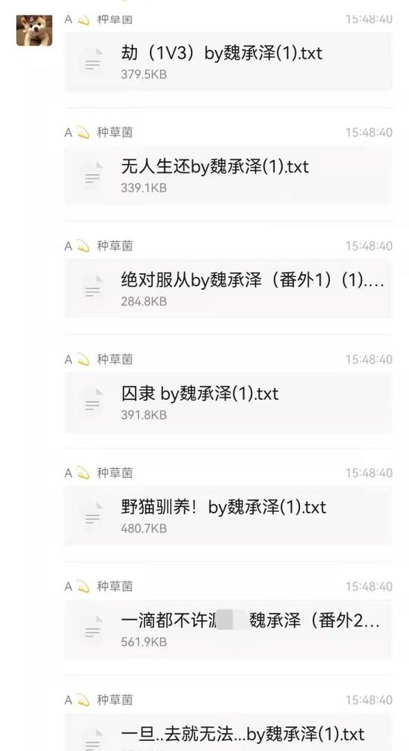 魏承泽这个作者有多少人知道？太狠了，也很厉害，全部小说合集23本，本本都是此类天花板！！