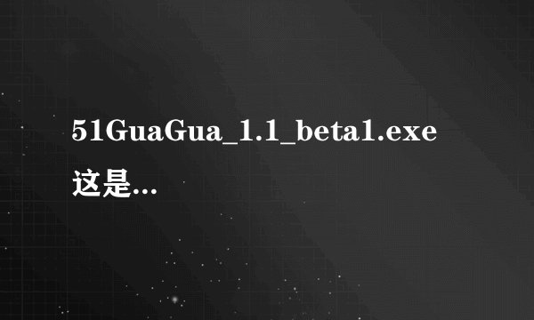51GuaGua_1.1_beta1.exe 这是什么，?
