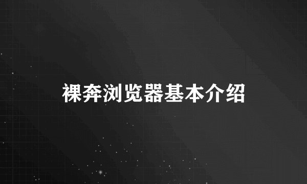 裸奔浏览器基本介绍