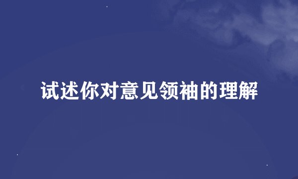 试述你对意见领袖的理解