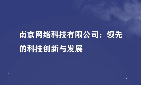 南京网络科技有限公司：领先的科技创新与发展