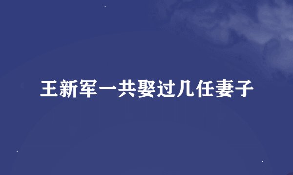 王新军一共娶过几任妻子