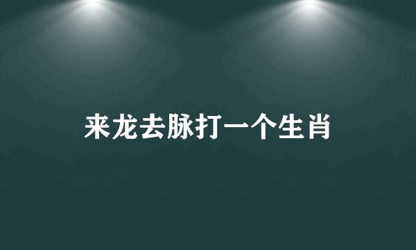 来龙去脉打一个生肖