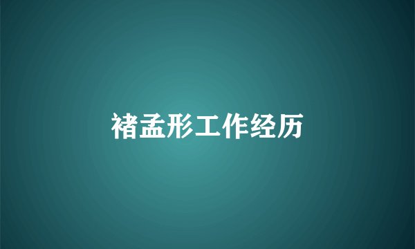 褚孟形工作经历