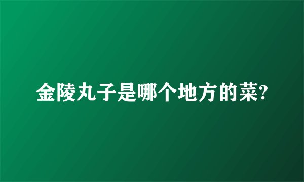 金陵丸子是哪个地方的菜?