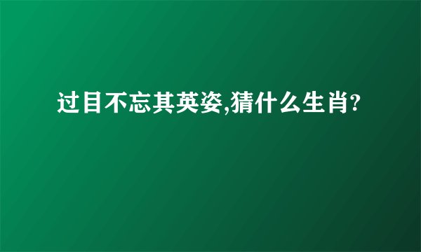 过目不忘其英姿,猜什么生肖?