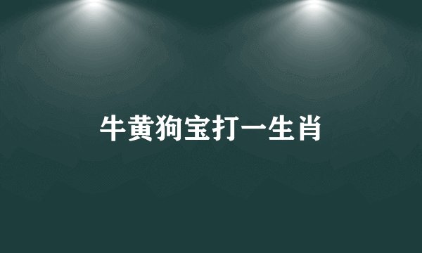 牛黄狗宝打一生肖