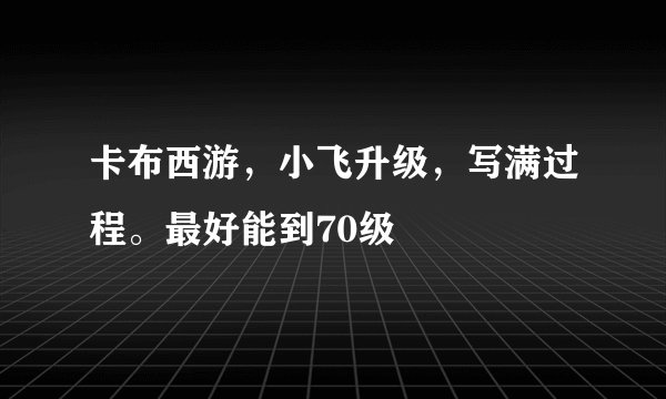 卡布西游，小飞升级，写满过程。最好能到70级
