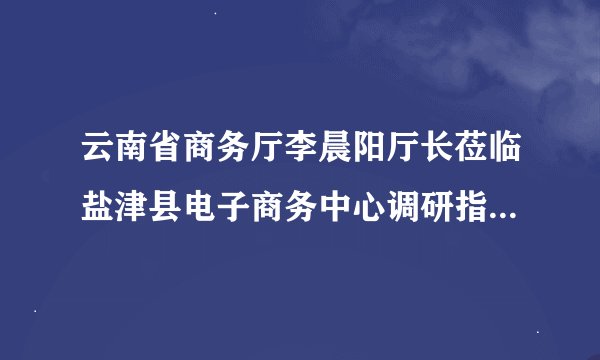 云南省商务厅李晨阳厅长莅临盐津县电子商务中心调研指导电商工作