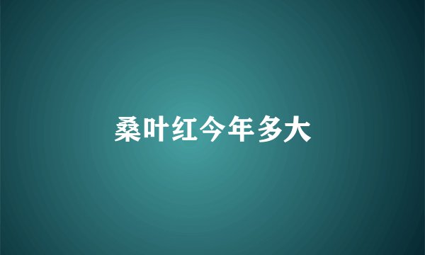 桑叶红今年多大