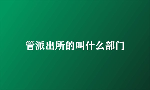 管派出所的叫什么部门