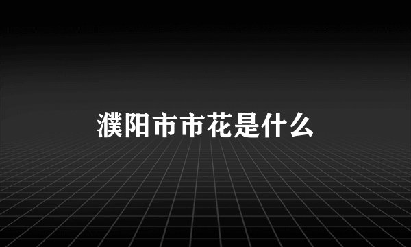 濮阳市市花是什么