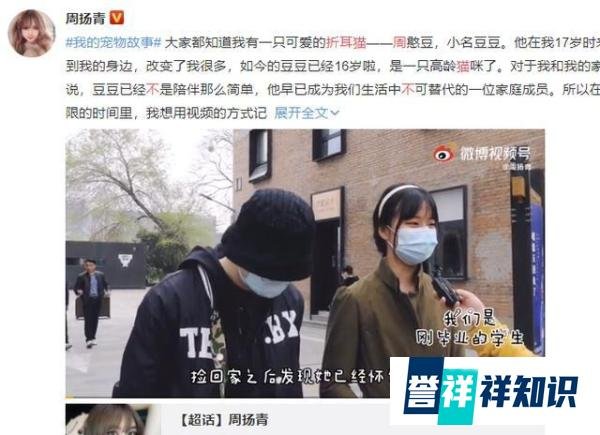周扬青呼吁不养折耳猫 这是咋情况？