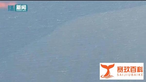 核污水排海现场:海水呈两种颜色